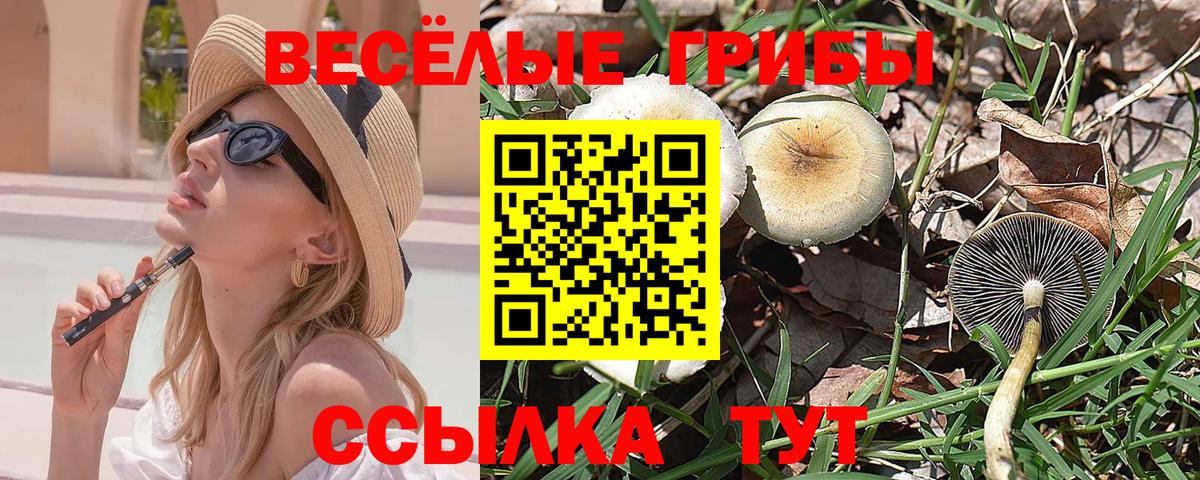 Канабис Алексеевка