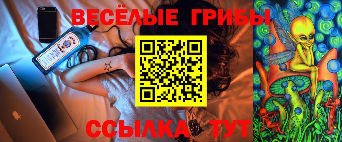 Галлюциногенные грибы MAGIC MUSHROOMS  Вход с VPN  Алексеевка  Галлюциногенные грибы Magic Shrooms 