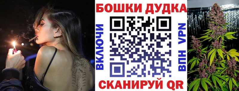 Канабис план  продажа наркотиков  mega онион  Алексеевка 